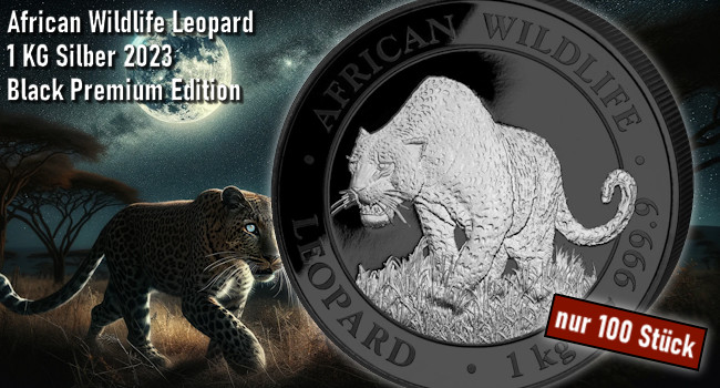 African Wildlife Leopard 2023