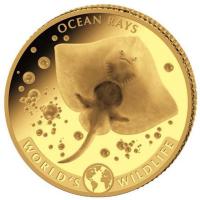 Kongo 10 Francs Worlds Wildlife Ozean Rochen 2023 0,5g Gold