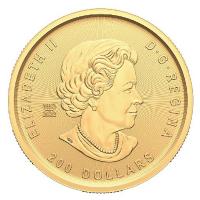 Kanada 200 CAD Goldrausch Serie (3): Weg des Goldes 2023 1 Oz Gold Rckseite