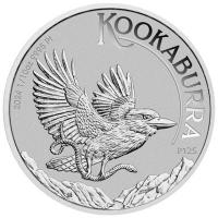 Australien 15 AUD Kookaburra 2024 1/10 Oz Platin