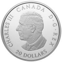Kanada 20 CAD Farbenfrohe Vgel: Goldzeisig 2024 1 Oz Silber Color Rckseite
