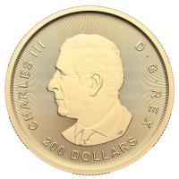 Kanada 200 CAD Goldrausch Serie (4): Vom Barren zur Mnze 2024 1 Oz Gold Rckseite