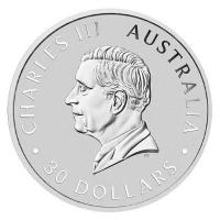 Australien 30 AUD Koala 2024 1 KG Silber Rckseite