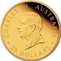 Australien 25 AUD Sovereign 125 Jahre PerthMint 2024 Gold PP Rckseite