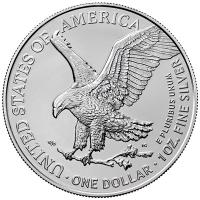USA 1 USD Silver Eagle Knstliche Intelligenz (7.) Cyber Girl 1 Oz Silber Color Rckseite