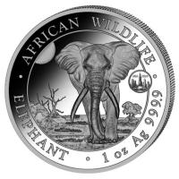Somalia African Wildlife Elefant 2024 1 Oz Silber Privy ANA