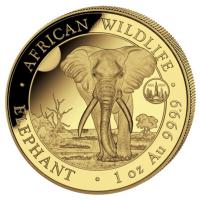 Somalia 1000 Shillings Elefant 2024 1 Oz Gold Privy ANA (RAR nur 100!!!)