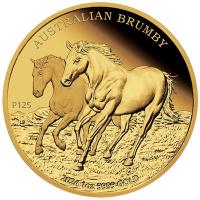 Australien 100 AUD Brumby 2024 1 Oz Gold PP