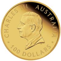 Australien 100 AUD Brumby 2024 1 Oz Gold PP Rckseite