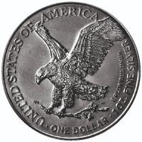 USA 1 USD Silver Eagle Knights of Honour: Realm Protector (4.) 2024 1 Oz Silber Antik Finish Color Rckseite
